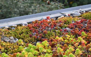 the cost of Damask Green green roof installation