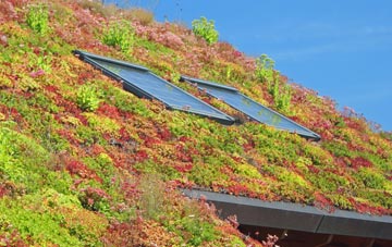 Damask Green living roof systems
